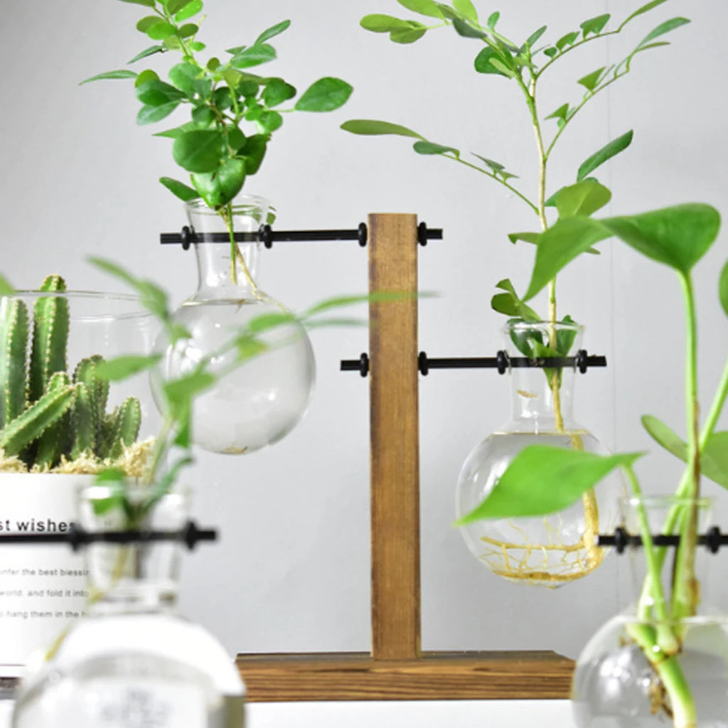 Propagation Station Glass Hydroponic Planter Bulb Terrarium Vase with Retro Wooden Stand for Hydroponics Plants Table Decor