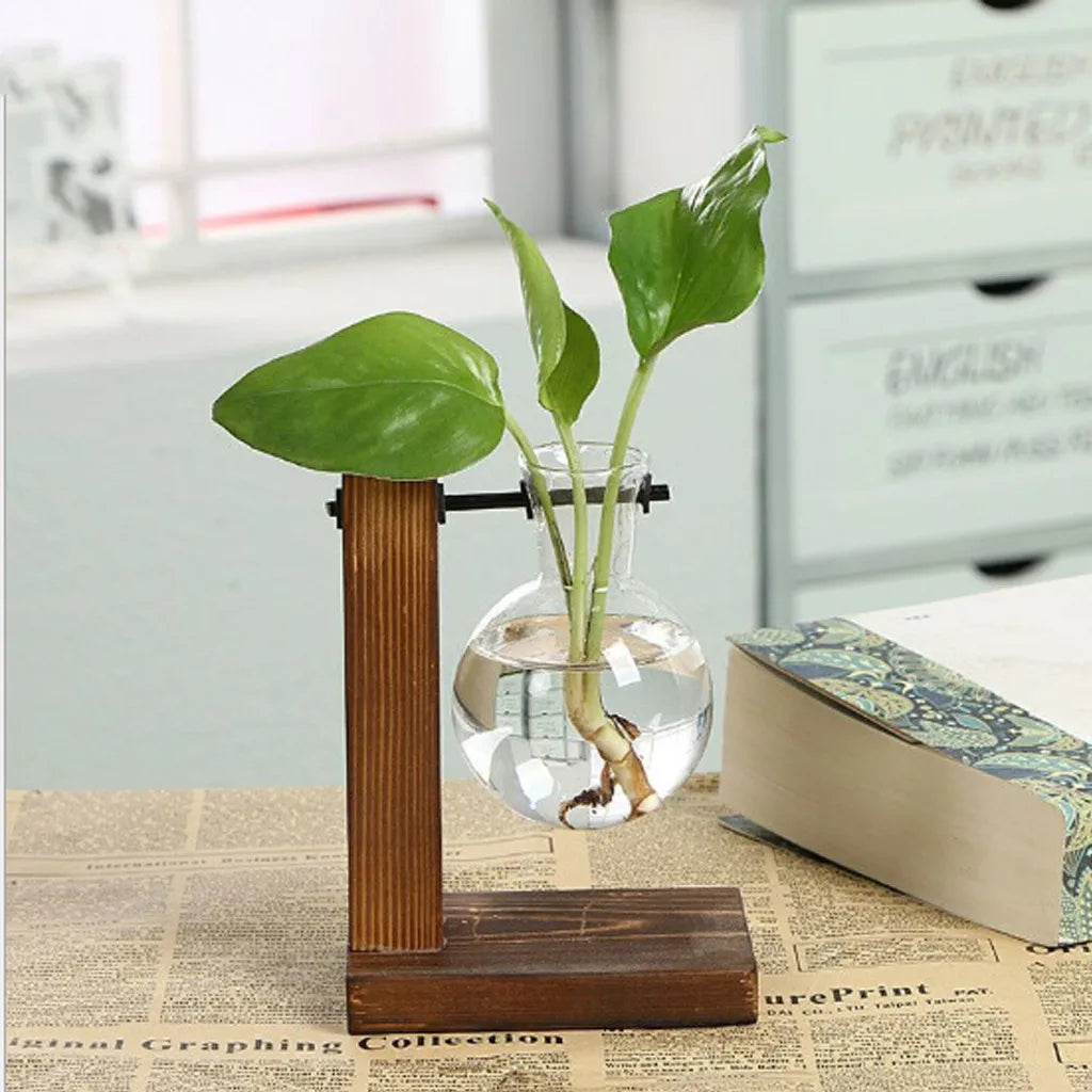 Propagation Station Glass Hydroponic Planter Bulb Terrarium Vase with Retro Wooden Stand for Hydroponics Plants Table Decor