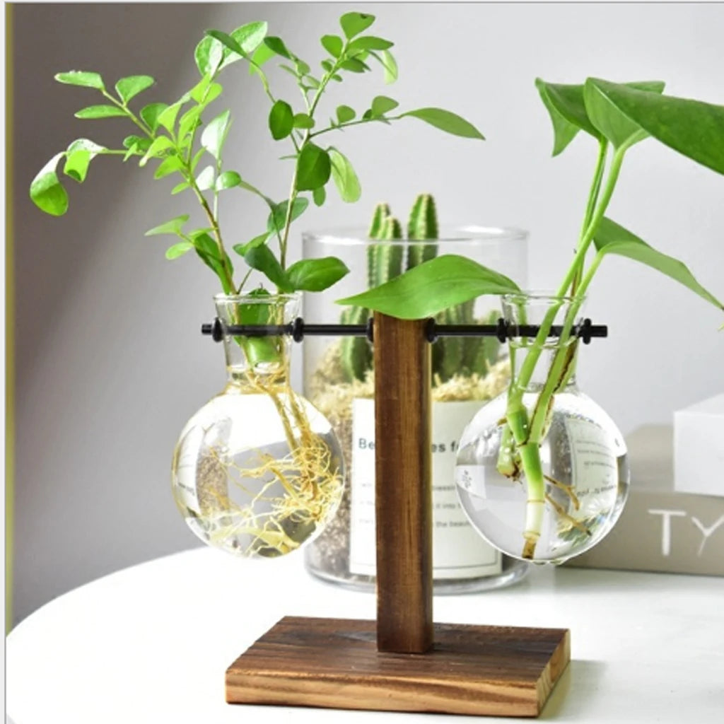 Propagation Station Glass Hydroponic Planter Bulb Terrarium Vase with Retro Wooden Stand for Hydroponics Plants Table Decor