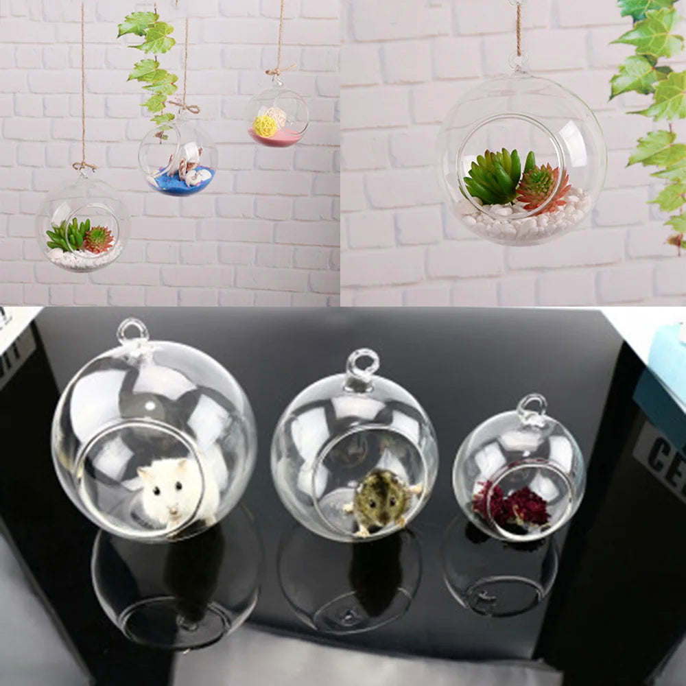 1PC Clear Glass Ball Globe Shape Terrarium Ball Flower Hanging Planter Terrarium Container Landscape Ornament Home Garden Decor