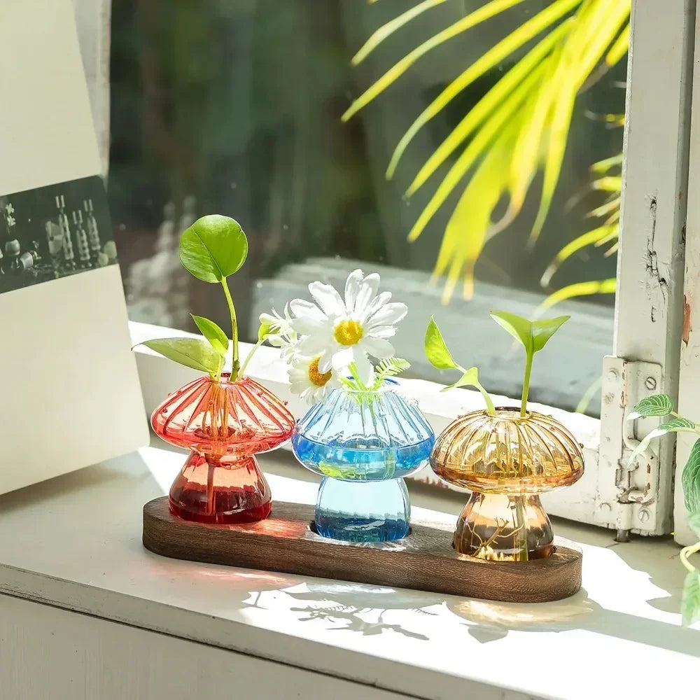 Cute Transparent Colorful Mushroom Glass Vase Propagation Terrarium for Plants & Flowers for Plant Lovers Home Office Decor