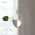 Creative Garden Hanging Glass Ball Vase Hydroponics Flower Plant Pot Terrarium Container Flower Plant Pot Garden Wedding Decor