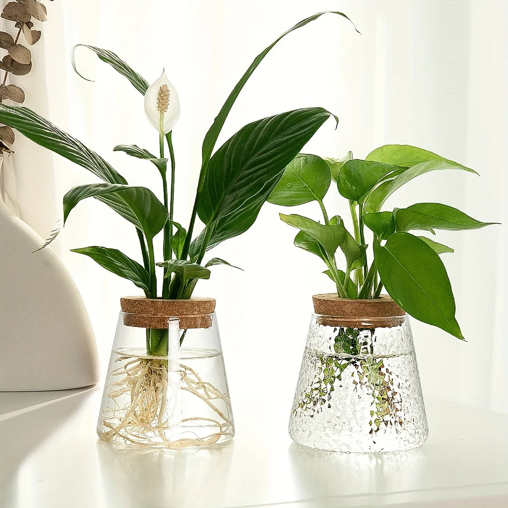 Hydroponic Flower Pot Stand1-2Personal Use Suitable for Office Green Plant Cutting Propagation Bottle Transparent Glass Containe