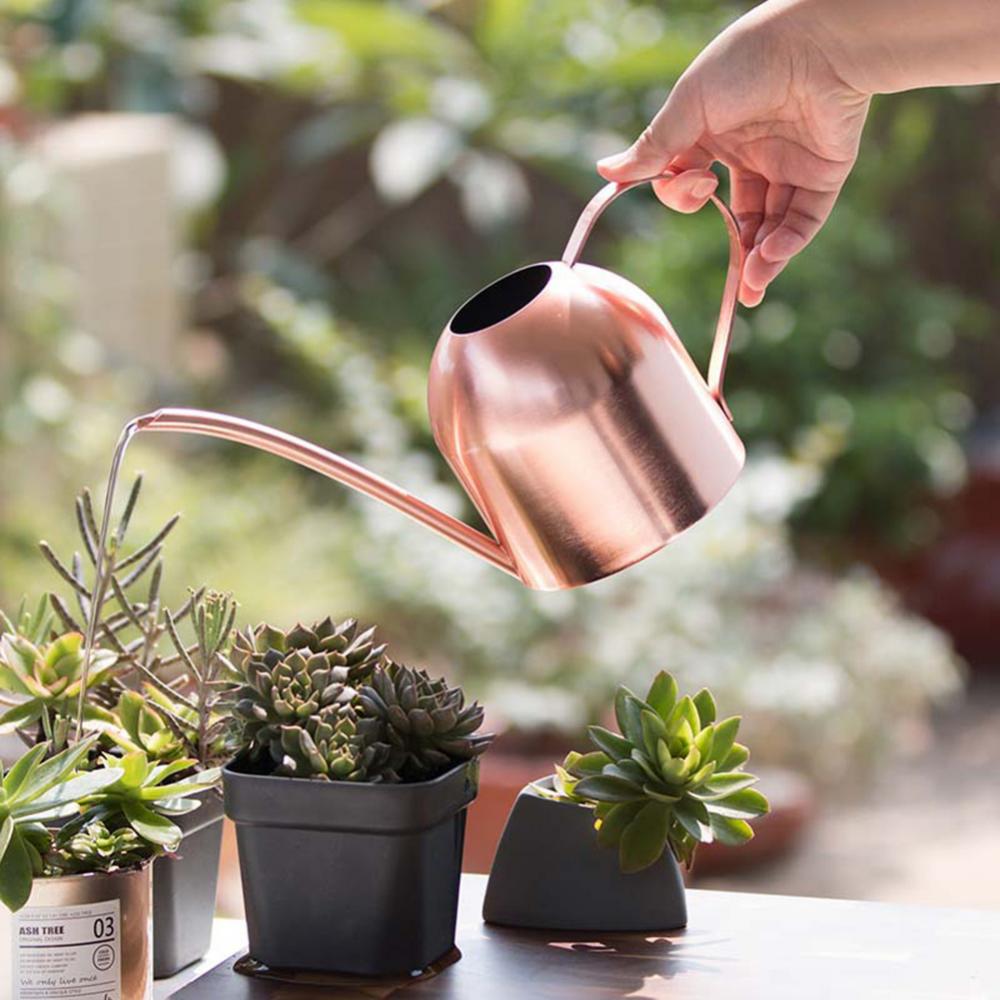500ML Bonsai Plant Flower Watering Can Watering Pot Long Spout Garden Plant Flower Water Can Regadera Plantas Лейка Для Цветов
