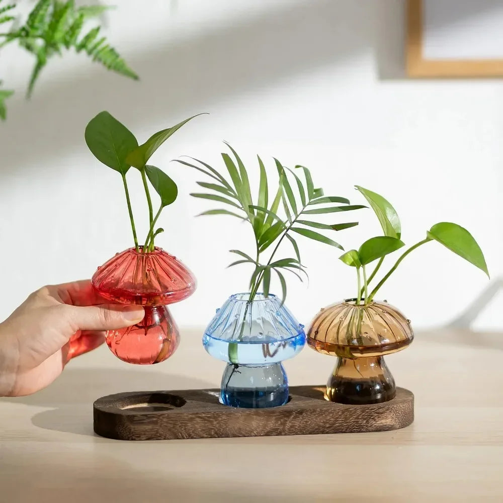 Cute Transparent Colorful Mushroom Glass Vase Propagation Terrarium for Plants & Flowers for Plant Lovers Home Office Decor