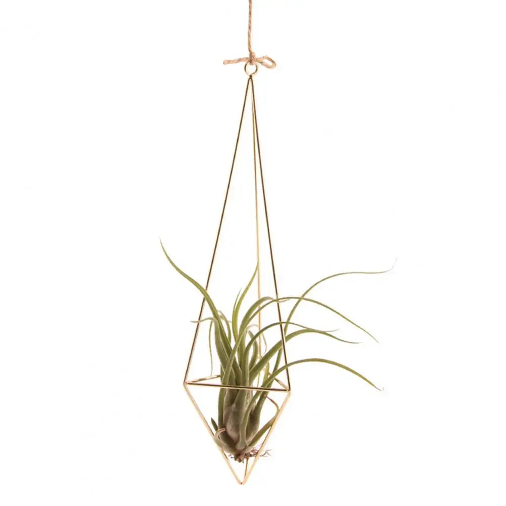 Hollow Flowerpot Propagation Stations Glass Hanging Geometric Plant Iron Stand Air Plant Holder Wedding Home Dinning Room Decor