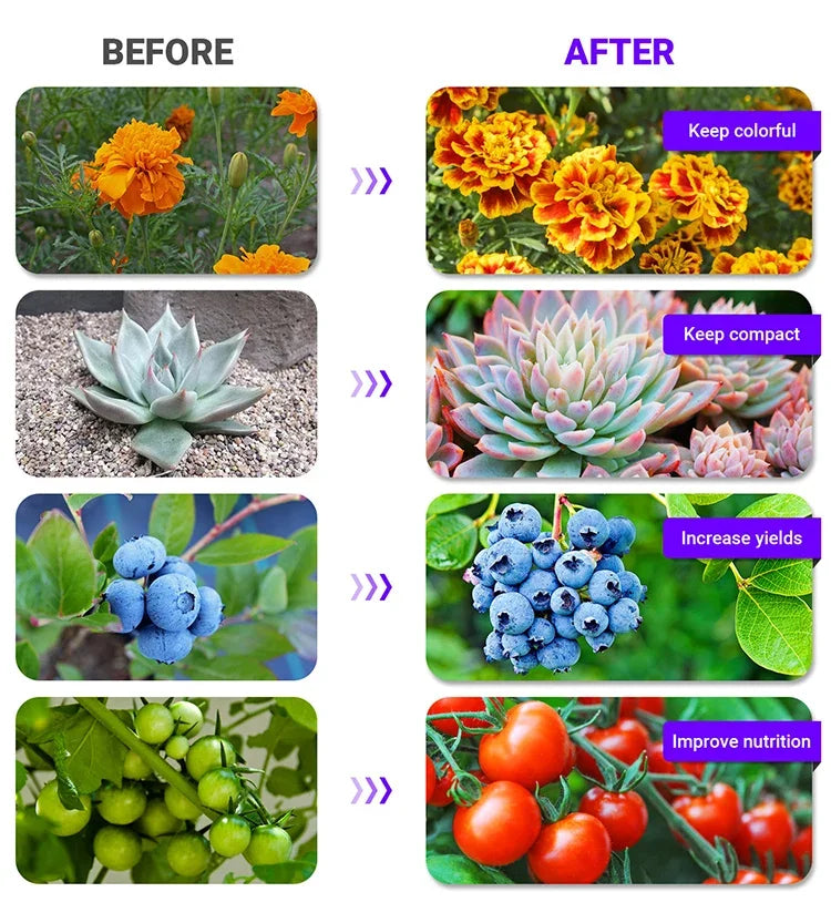 LED Plant Grow Light LED Lamp E27 Plant Lamp Fitolamp Full Spectrum Indoor Hydroponics Flower Seedling LED Spotlight Bulb