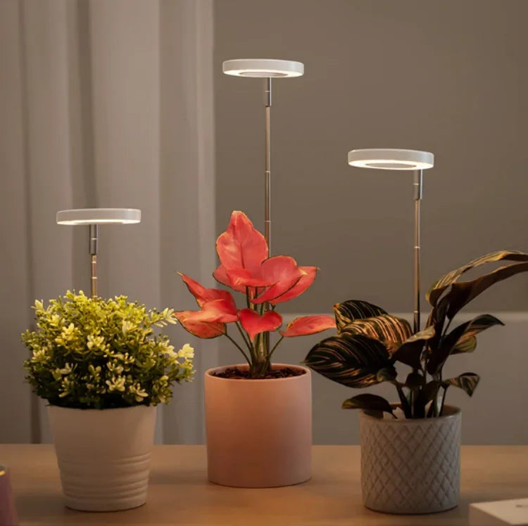 LED Grow Light Full Spectrum Plant Growth Light USB 5V Height Adjustable Dimmable Growing Lamp with Timer for Indoor Plants Herb
