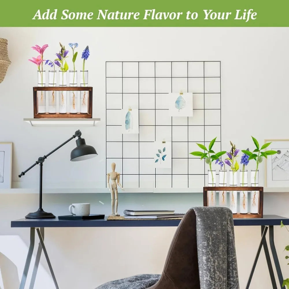 3/5 Tubes Wall Hanging Hydroponic Plant Propagation Glass Vase with Wooden Stand Desktop for Home Office Planter Garde Decor