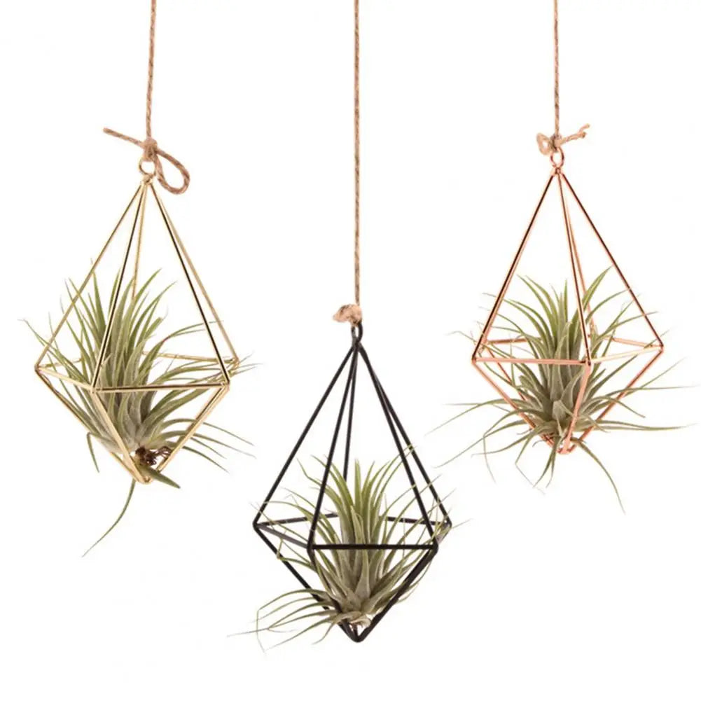 Hollow Flowerpot Propagation Stations Glass Hanging Geometric Plant Iron Stand Air Plant Holder Wedding Home Dinning Room Decor