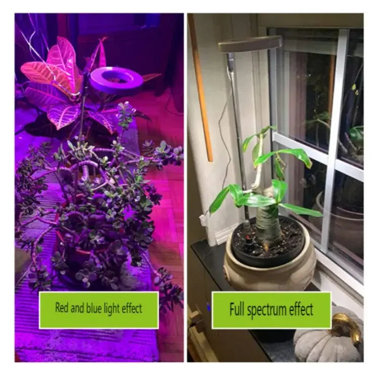LED Grow Light Full Spectrum Plant Growth Light USB 5V Height Adjustable Dimmable Growing Lamp with Timer for Indoor Plants Herb