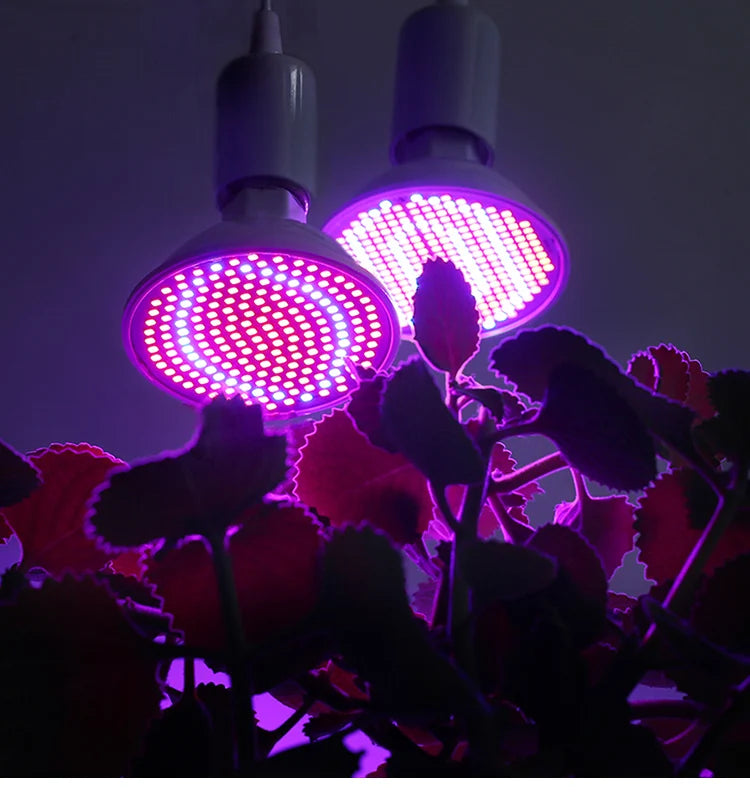 LED Plant Grow Light LED Lamp E27 Plant Lamp Fitolamp Full Spectrum Indoor Hydroponics Flower Seedling LED Spotlight Bulb
