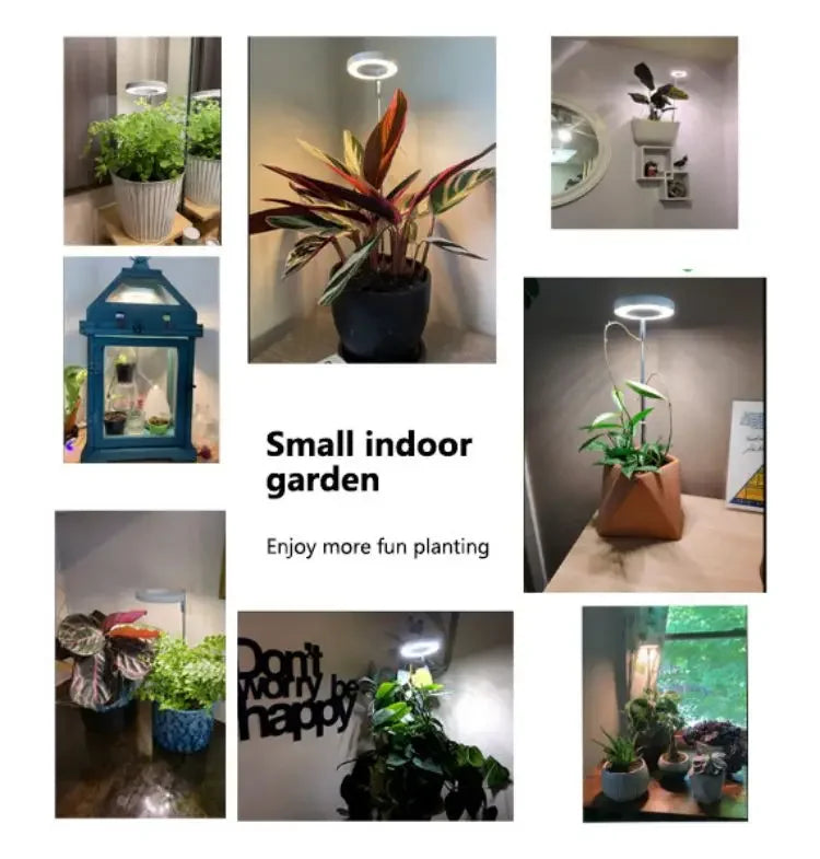 LED Grow Light Full Spectrum Plant Growth Light USB 5V Height Adjustable Dimmable Growing Lamp with Timer for Indoor Plants Herb
