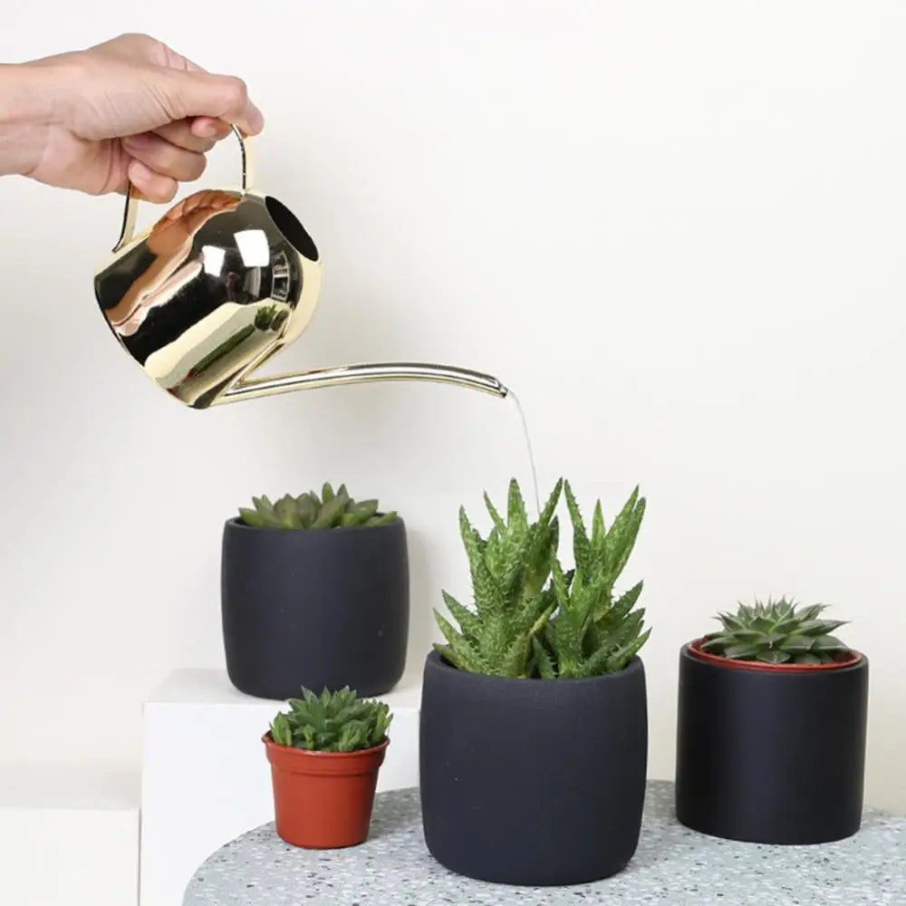 500ML Bonsai Plant Flower Watering Can Watering Pot Long Spout Garden Plant Flower Water Can Regadera Plantas Лейка Для Цветов
