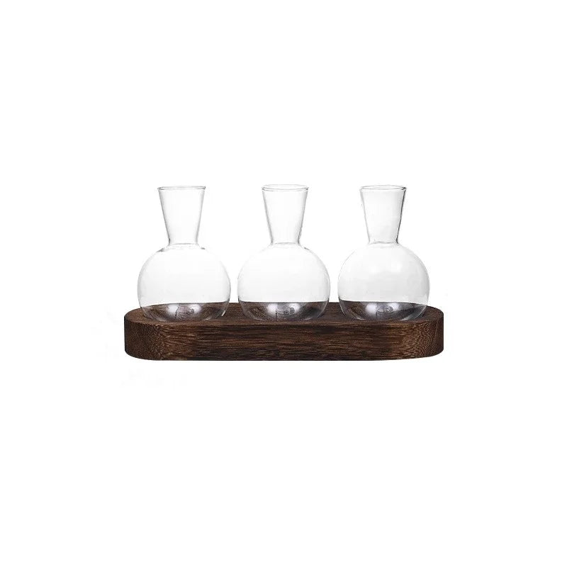 Glass Terrarium for Plants with Wooden Tray – For indoor propagation hydroponic vase，Desktop Home Office Decoration