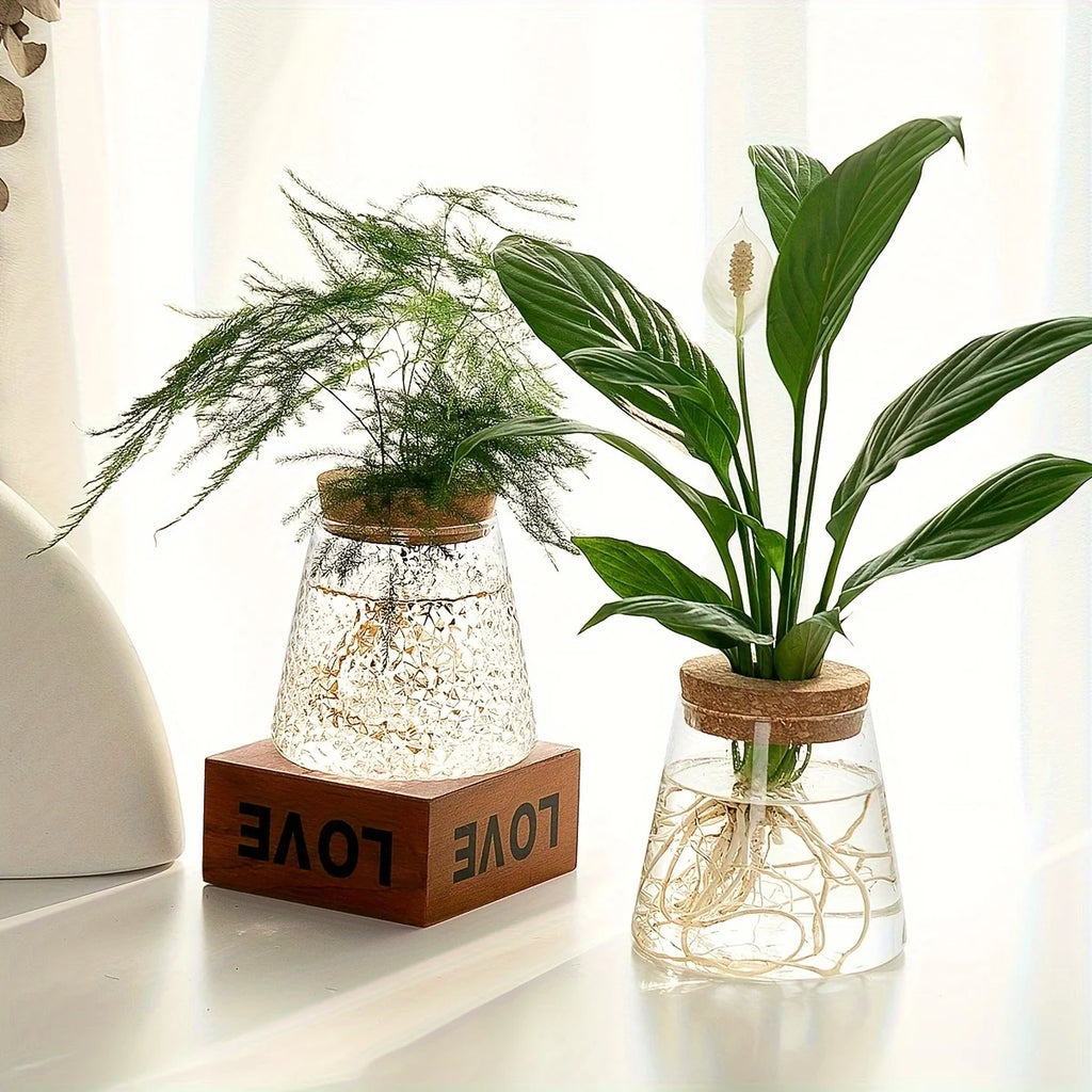 Hydroponic Flower Pot Stand1-2Personal Use Suitable for Office Green Plant Cutting Propagation Bottle Transparent Glass Containe