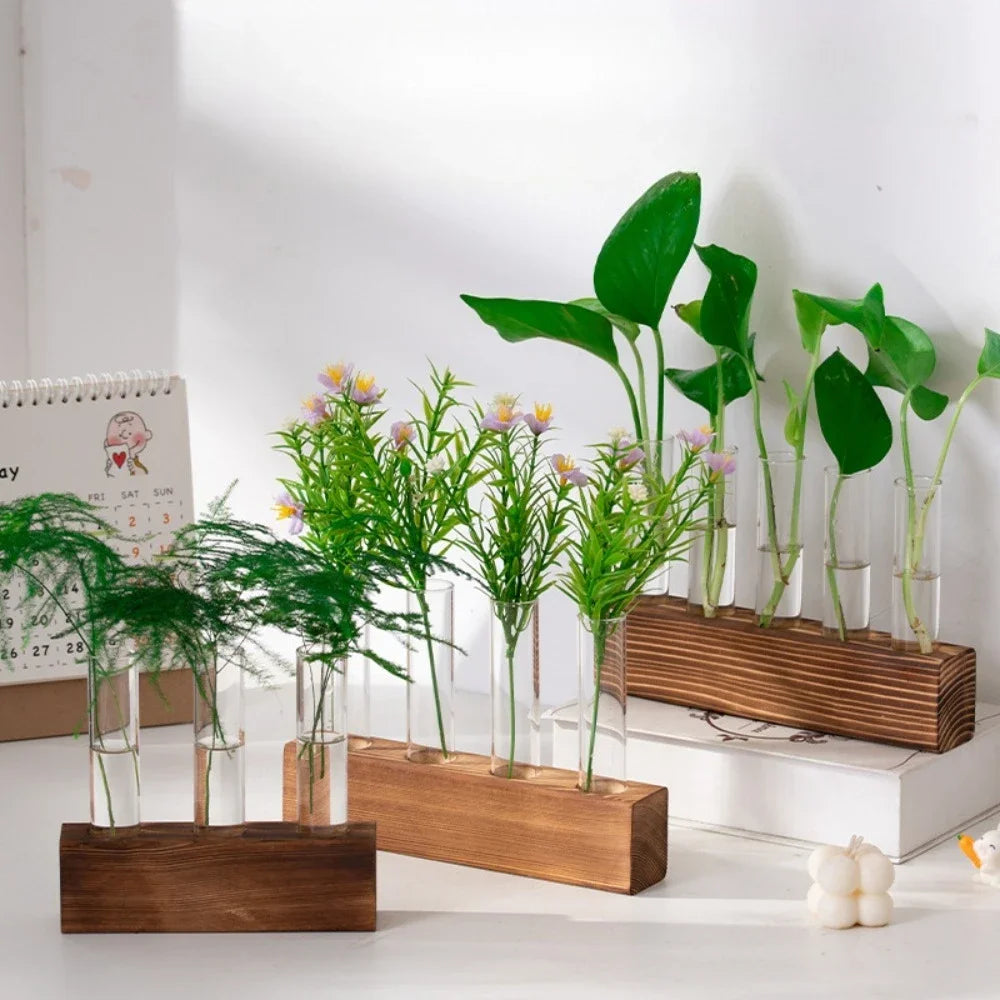 3/5 Tubes Wall Hanging Hydroponic Plant Propagation Glass Vase with Wooden Stand Desktop for Home Office Planter Garde Decor