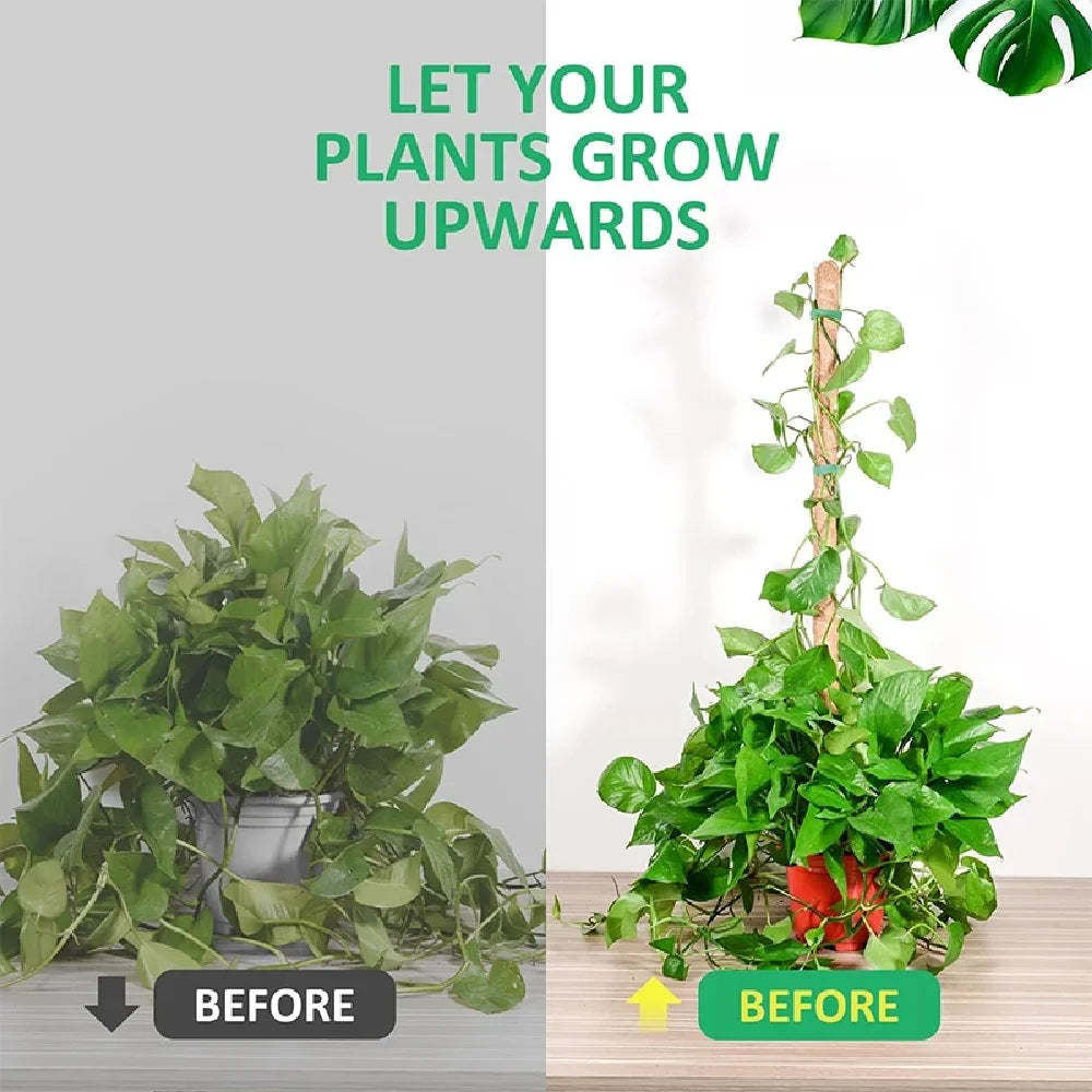 Deformable Plant Scaffold Useful Things for Garden Accsesories Plants Accessories Outdoor Decor Stand Indoor Support Tutors Home