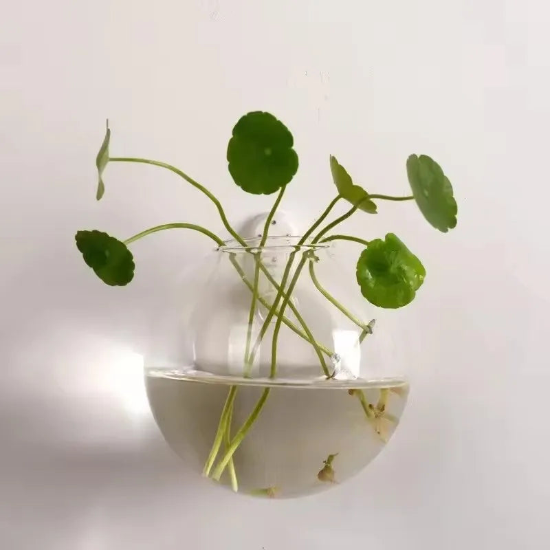 Wall Hanging Glass Plant Terrarium Container Propagation Station Wall-Mounted Flower Vases Air Plant Terrarium Home Office Decor