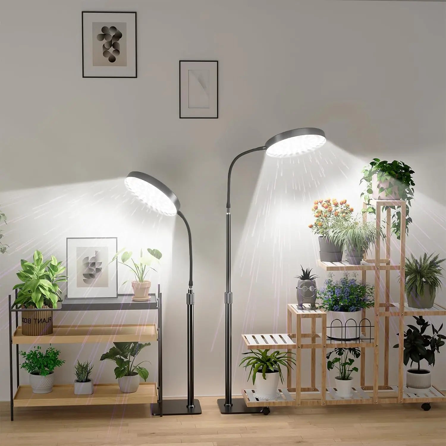 Grow Lights for Plants Full Spectrum Floor Plant Growing Lamp Large Plants Auto ON/Off Timer 5 Dimmable Levels  Adjustable Heigt