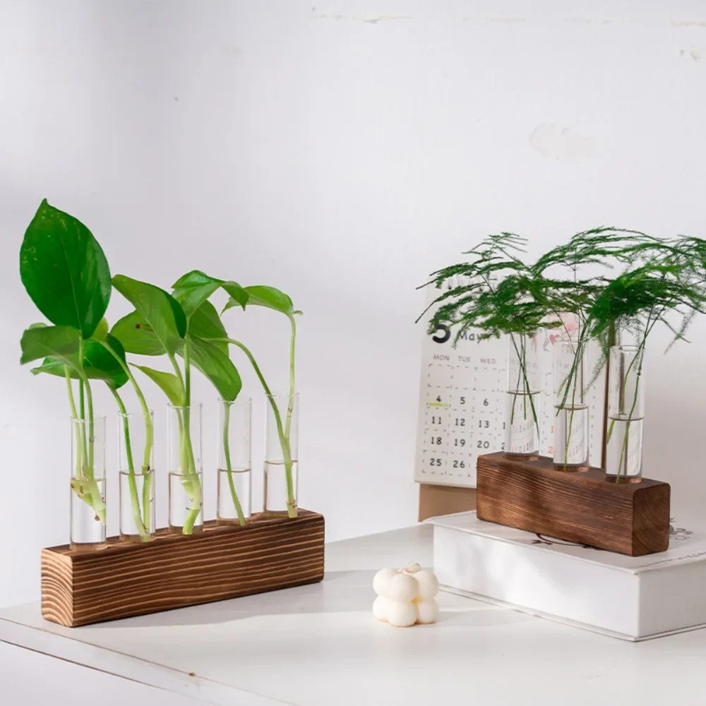 3/5 Tubes Wall Hanging Hydroponic Plant Propagation Glass Vase with Wooden Stand Desktop for Home Office Planter Garde Decor