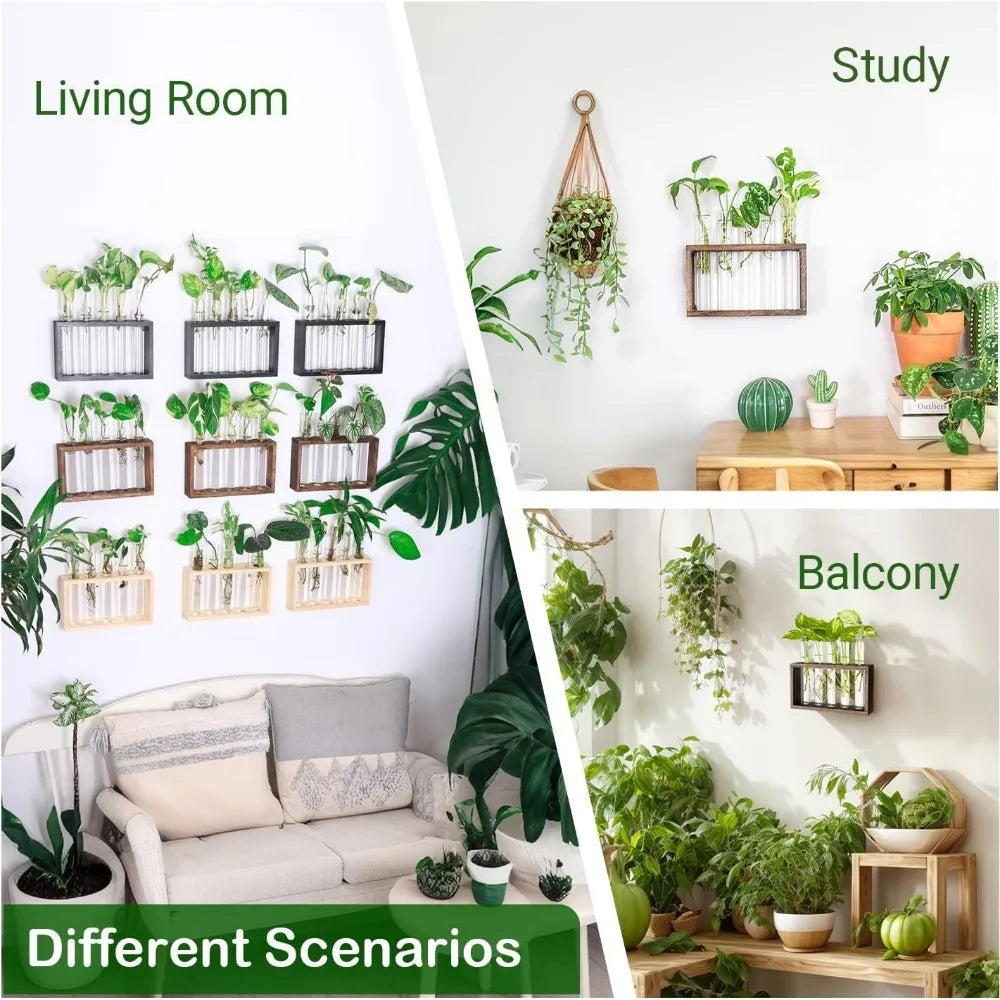 3/5 Tubes Wall Hanging Hydroponic Plant Propagation Glass Vase with Wooden Stand Desktop for Home Office Planter Garde Decor