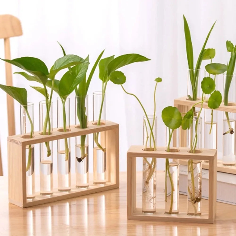 3/5 Tubes Wall Hanging Hydroponic Plant Propagation Glass Vase with Wooden Stand Desktop for Home Office Planter Garde Decor