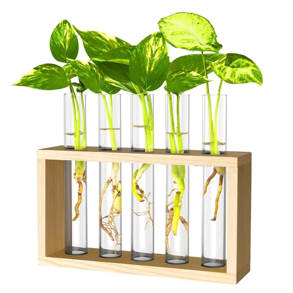 3/5 Tubes Wall Hanging Hydroponic Plant Propagation Glass Vase with Wooden Stand Desktop for Home Office Planter Garde Decor