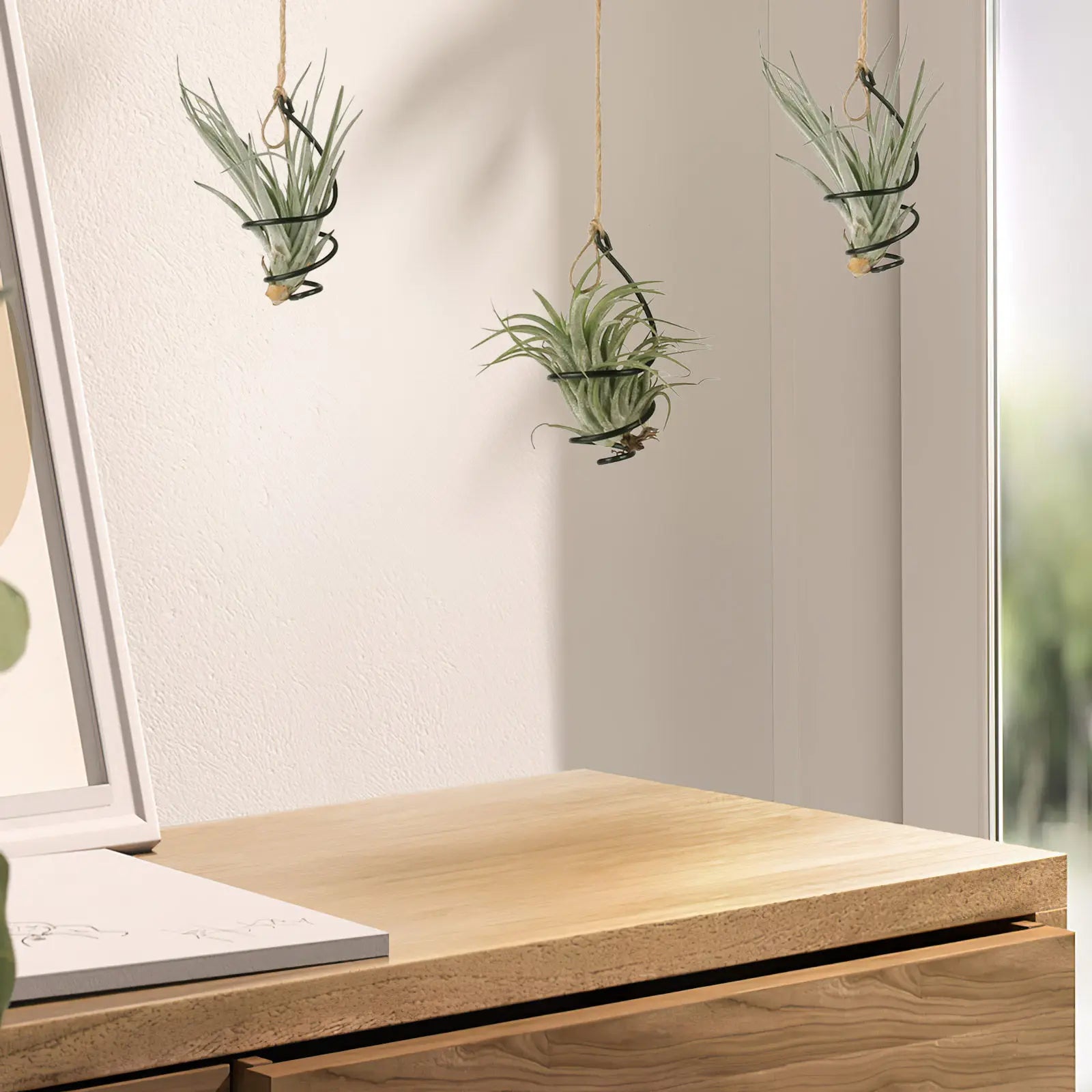 12Set Air Plant Holders Spiral Metal Soilless Stand Hanging Tillandsia Display Container Home Office Succulent Wall Decor