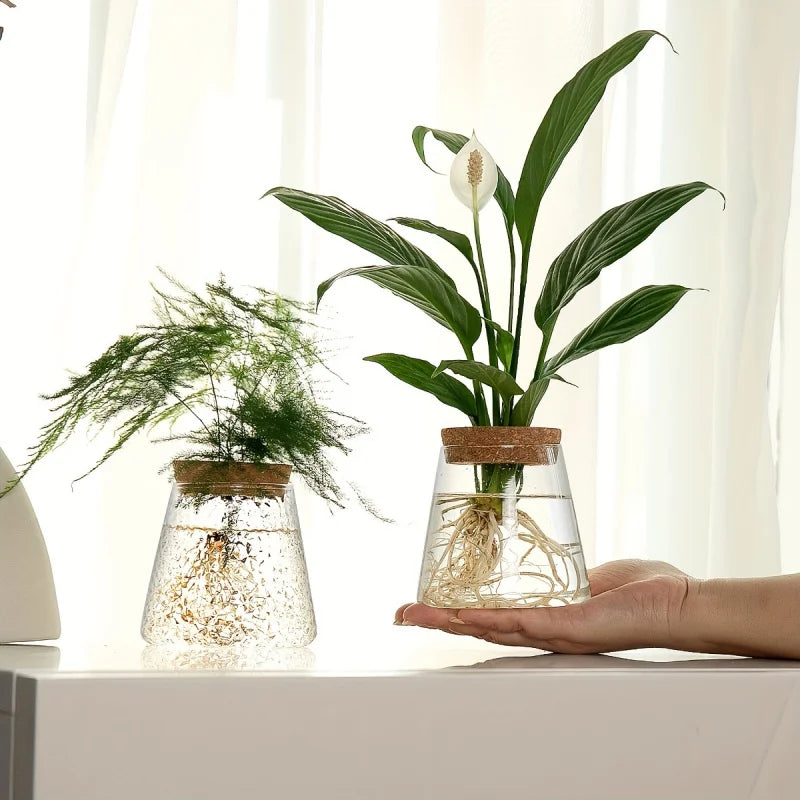 Hydroponic Flower Pot Stand1-2Personal Use Suitable for Office Green Plant Cutting Propagation Bottle Transparent Glass Containe