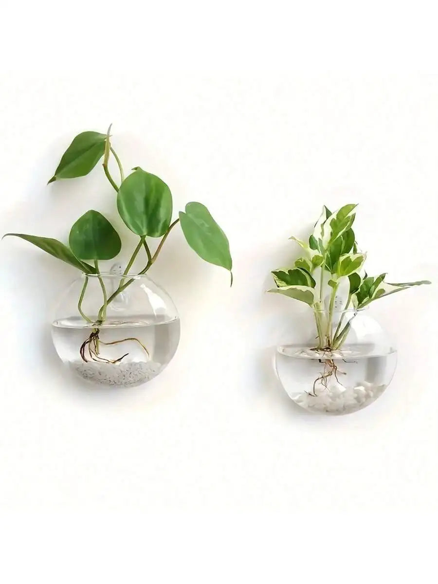 Wall Hanging Glass Plant Terrarium Container Propagation Station Wall-Mounted Flower Vases Air Plant Terrarium Home Office Decor