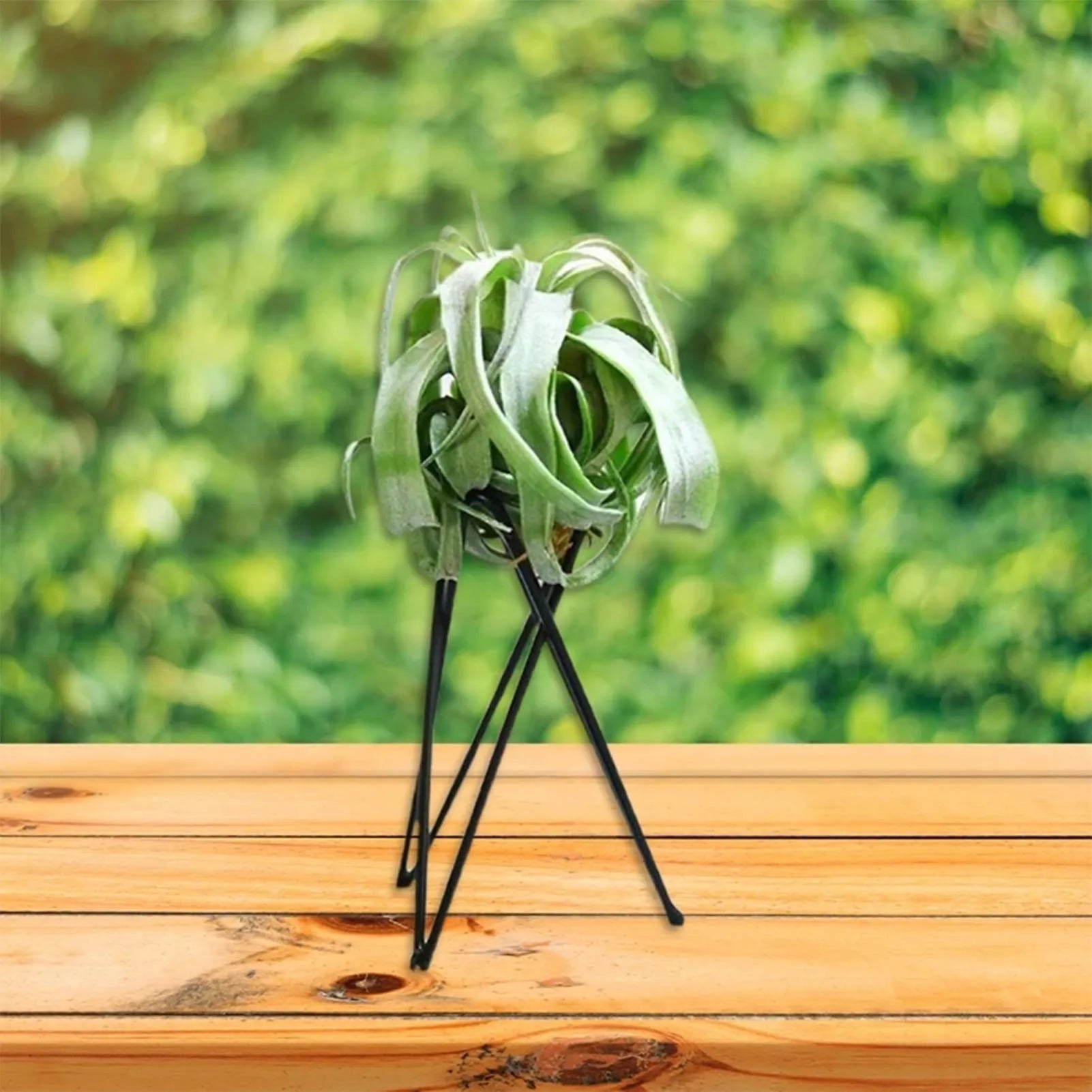 Geometric Airplant Holders Elegant Desktop Air Plant Container for Family Friend Neighbor Gift