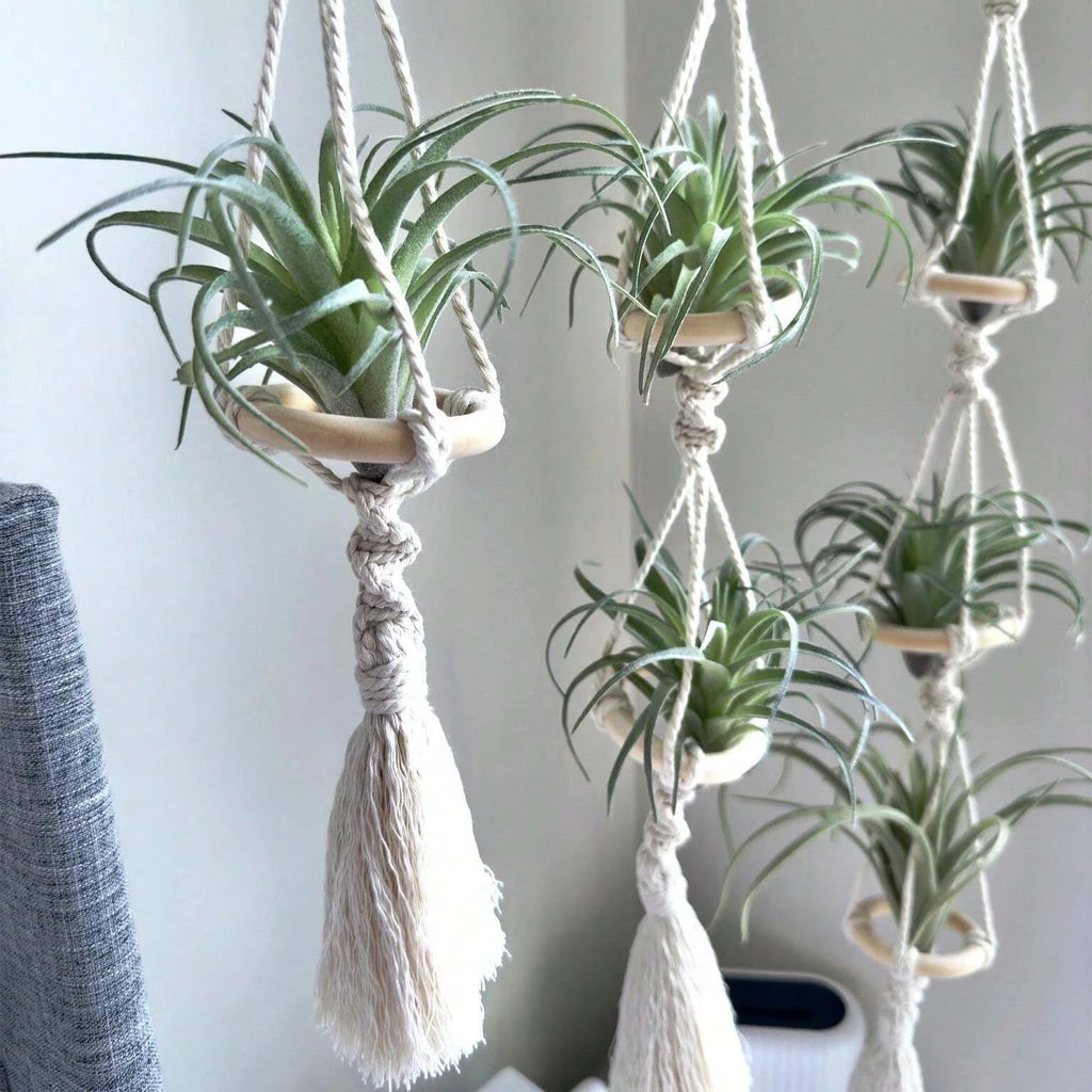 Macrame Plant Hangers Air Plants Hanging Basket Wall Hanging Handcrafted Air Plants Hanger Boho Home Decoration Room Decor Gift