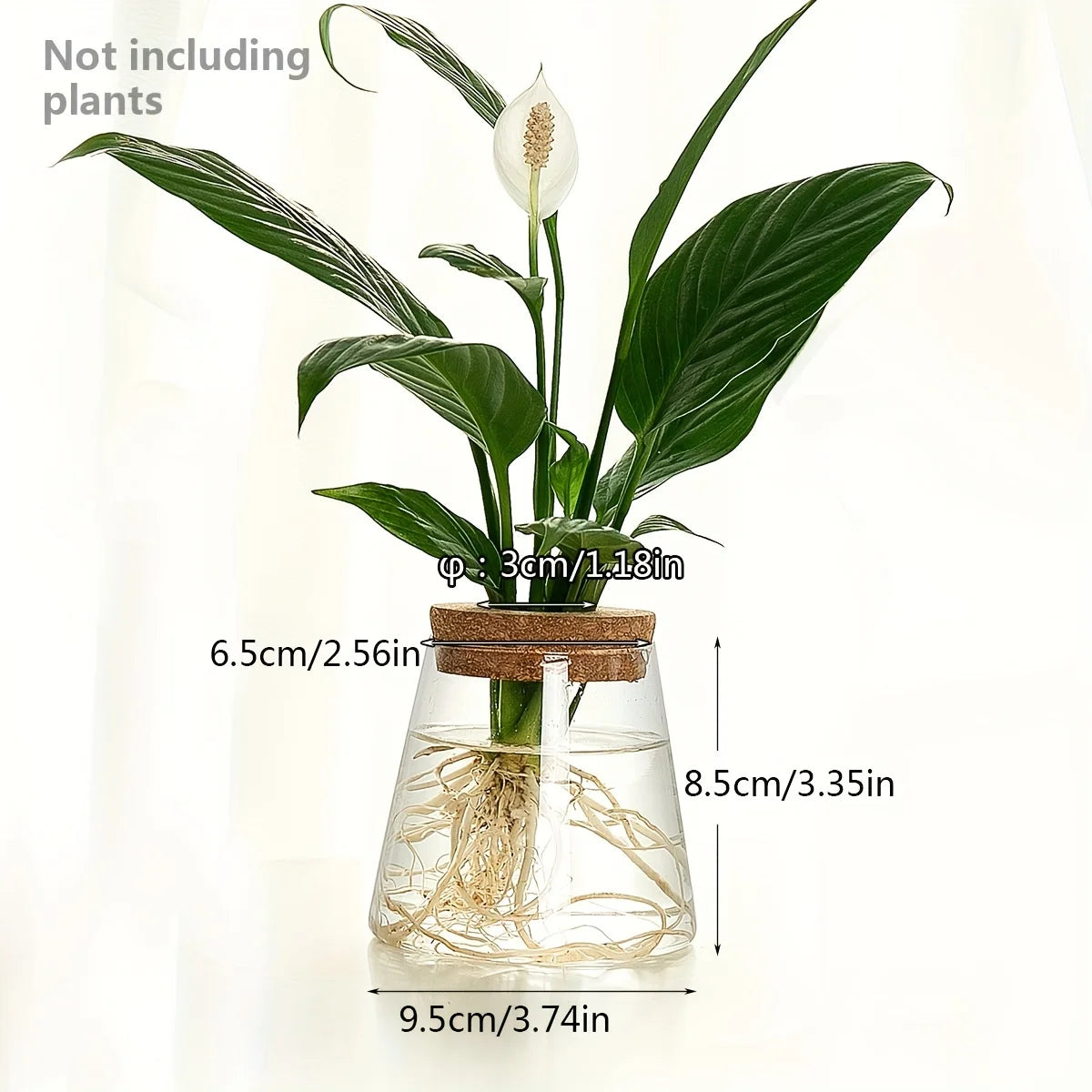 Hydroponic Flower Pot Stand1-2Personal Use Suitable for Office Green Plant Cutting Propagation Bottle Transparent Glass Containe