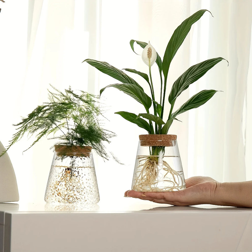 Hydroponic Flower Pot Stand1-2Personal Use Suitable for Office Green Plant Cutting Propagation Bottle Transparent Glass Containe