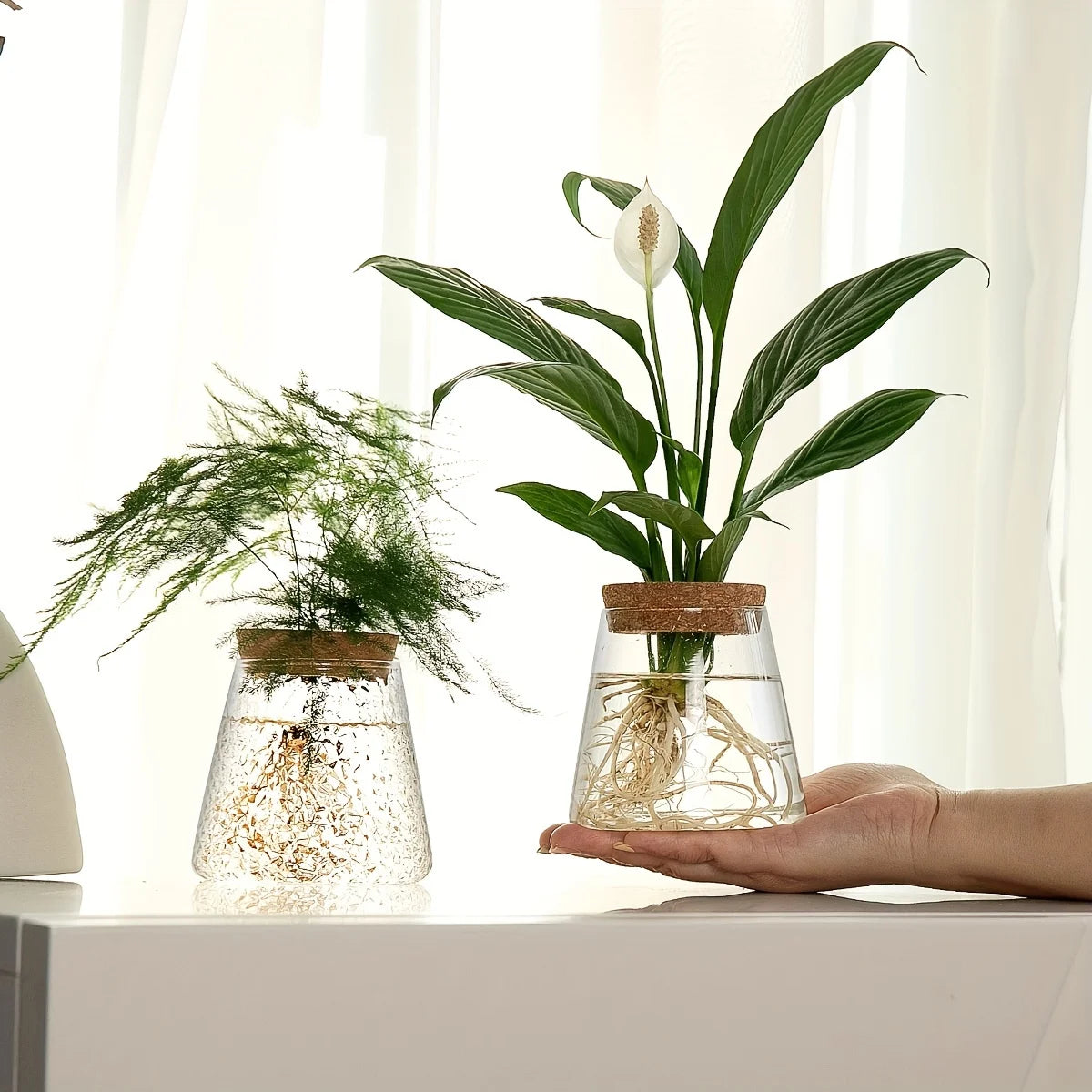 Hydroponic Flower Pot Stand1-2Personal Use Suitable for Office Green Plant Cutting Propagation Bottle Transparent Glass Containe