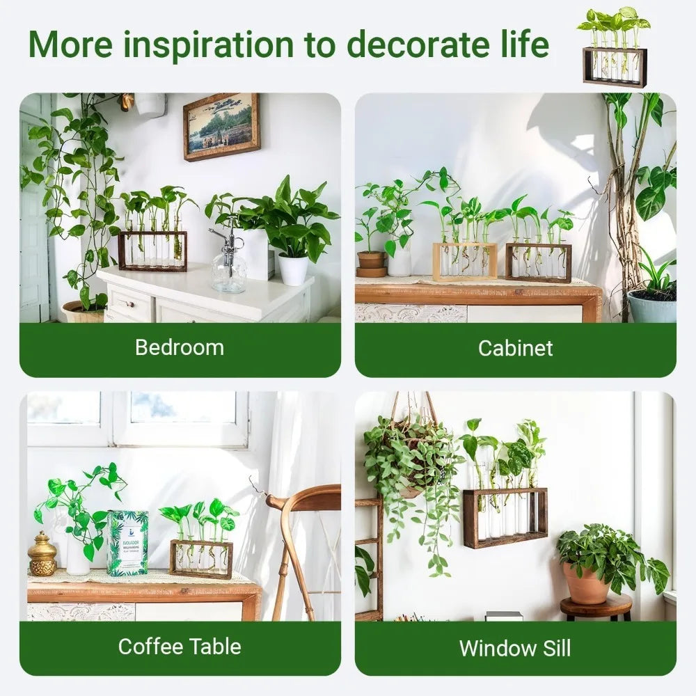 3/5 Tubes Wall Hanging Hydroponic Plant Propagation Glass Vase with Wooden Stand Desktop for Home Office Planter Garde Decor