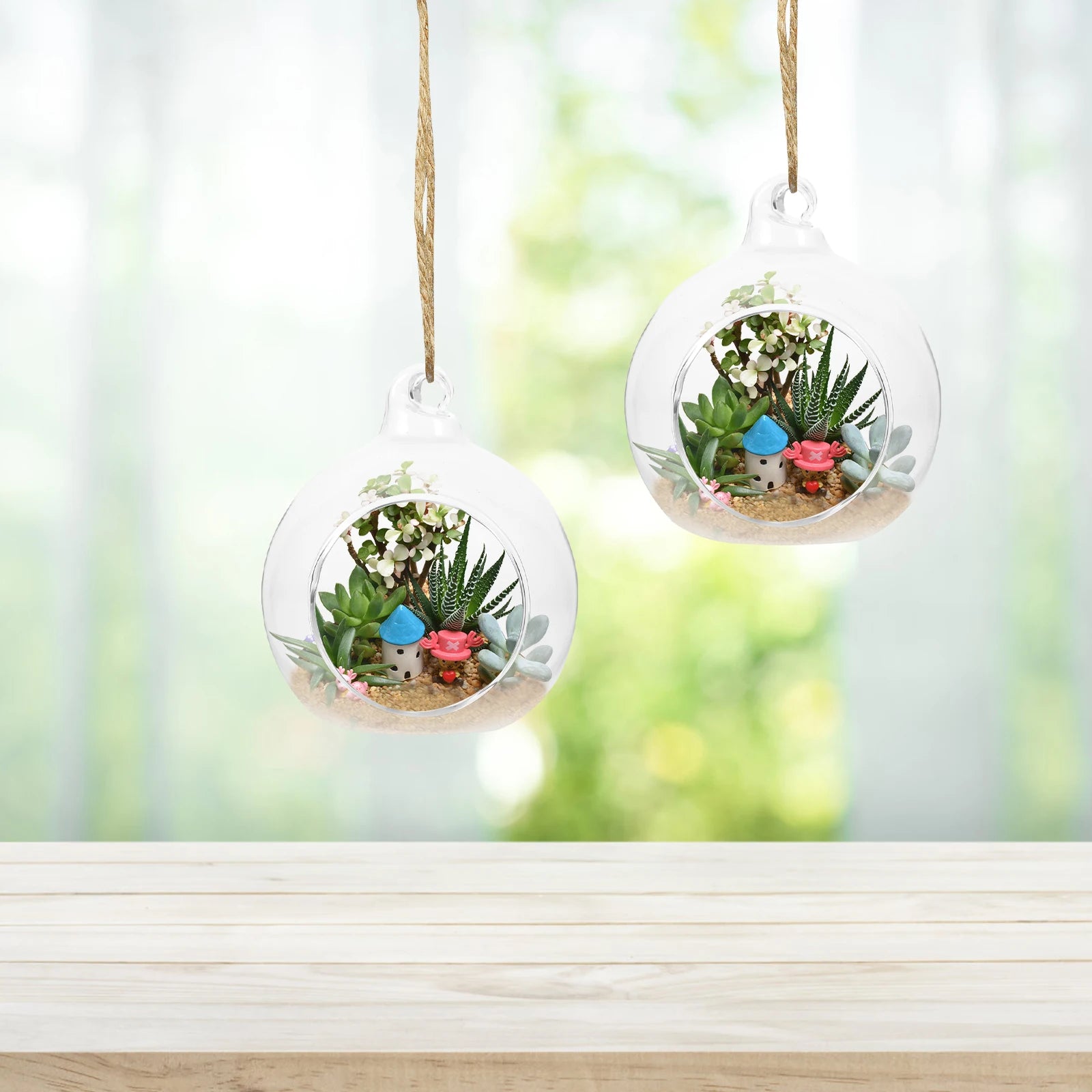 Hanging Glass Terrarium Globe Plant Air Holders Planter Holder Plants Vase Hydroponic Wall Globes Container Pot