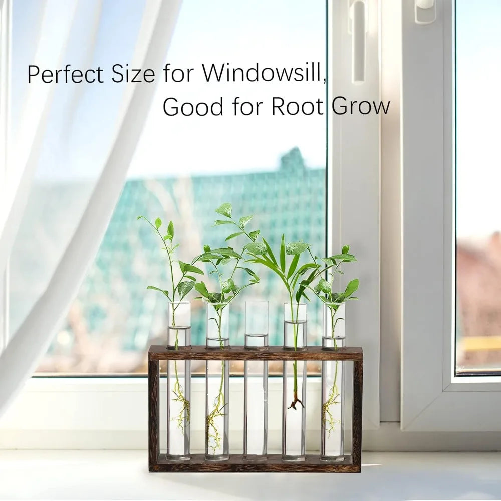 3/5 Tubes Wall Hanging Hydroponic Plant Propagation Glass Vase with Wooden Stand Desktop for Home Office Planter Garde Decor