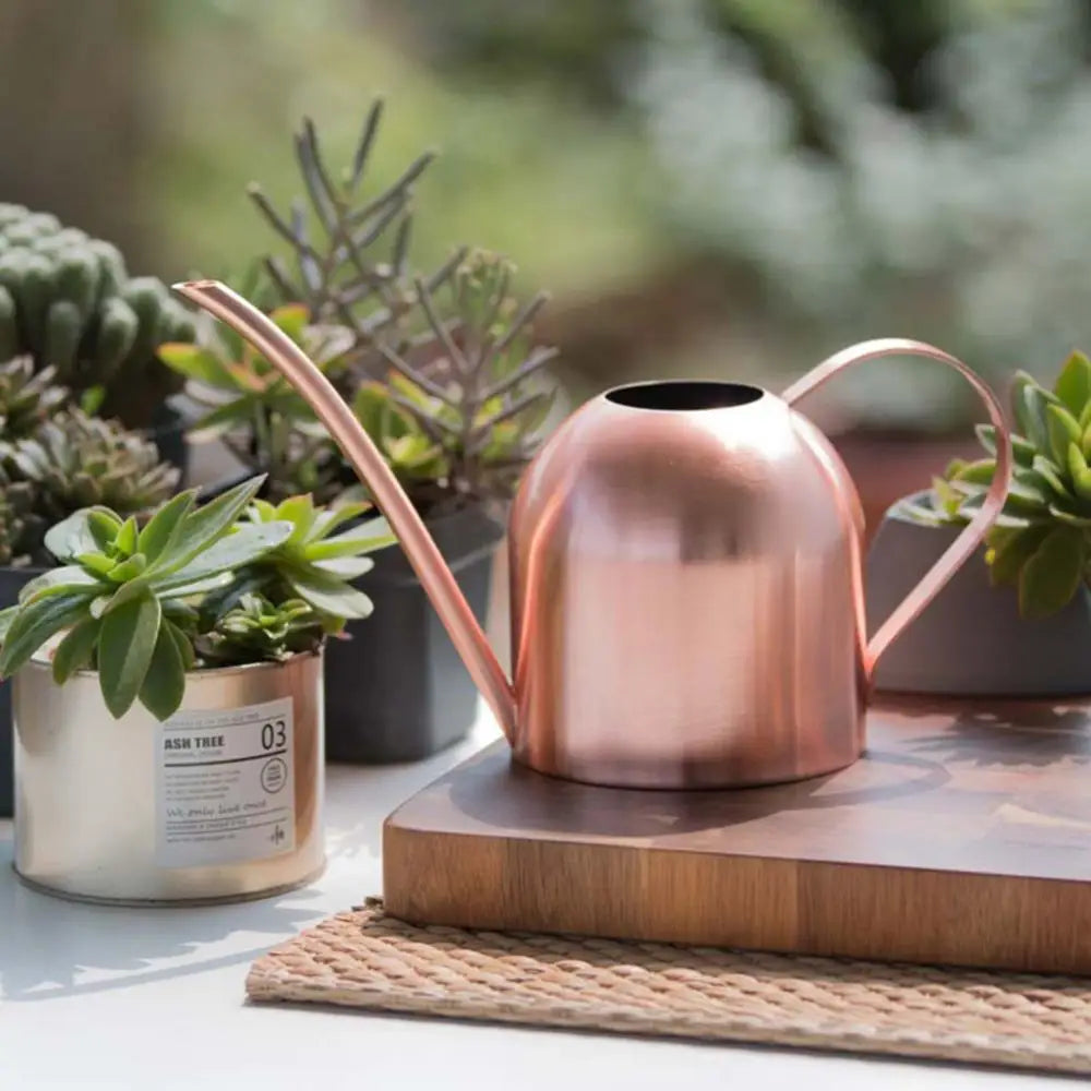 500ML Bonsai Plant Flower Watering Can Watering Pot Long Spout Garden Plant Flower Water Can Regadera Plantas Лейка Для Цветов