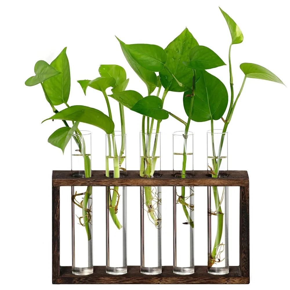 3/5 Tubes Wall Hanging Hydroponic Plant Propagation Glass Vase with Wooden Stand Desktop for Home Office Planter Garde Decor