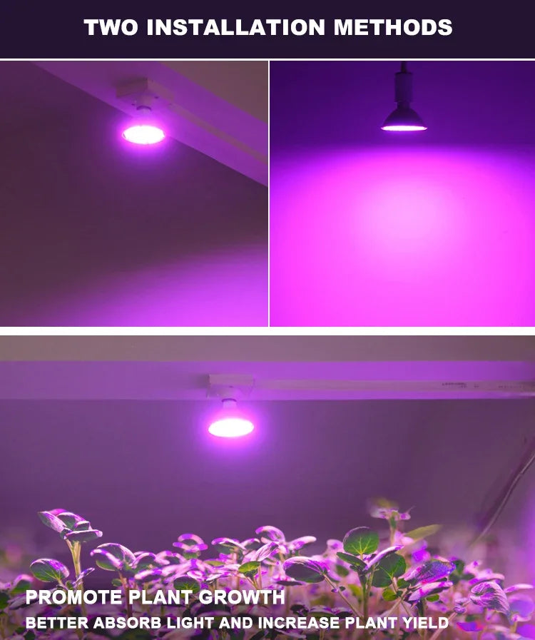 LED Plant Grow Light LED Lamp E27 Plant Lamp Fitolamp Full Spectrum Indoor Hydroponics Flower Seedling LED Spotlight Bulb