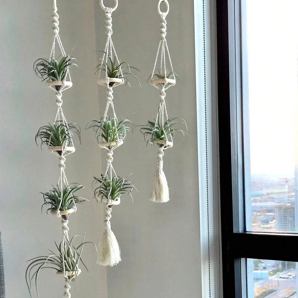 Macrame Plant Hangers Air Plants Hanging Basket Wall Hanging Handcrafted Air Plants Hanger Boho Home Decoration Room Decor Gift