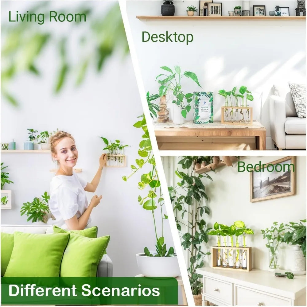 3/5 Tubes Wall Hanging Hydroponic Plant Propagation Glass Vase with Wooden Stand Desktop for Home Office Planter Garde Decor