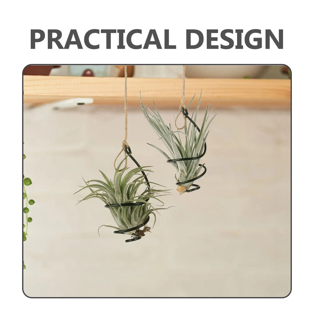 12Set Air Plant Holders Spiral Metal Soilless Stand Hanging Tillandsia Display Container Home Office Succulent Wall Decor