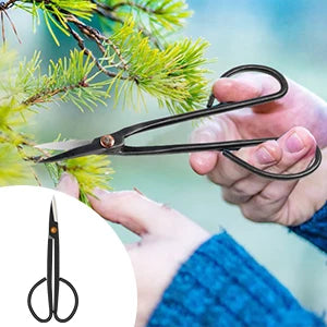 Bonsai Tools Kit- 24 PCS Bonsai Tree Kit Tools for Beginners, Bonsai Starter Trimming Care Kit Bonsai Pruning Kit