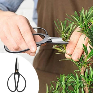 Bonsai Tools Kit- 24 PCS Bonsai Tree Kit Tools for Beginners, Bonsai Starter Trimming Care Kit Bonsai Pruning Kit
