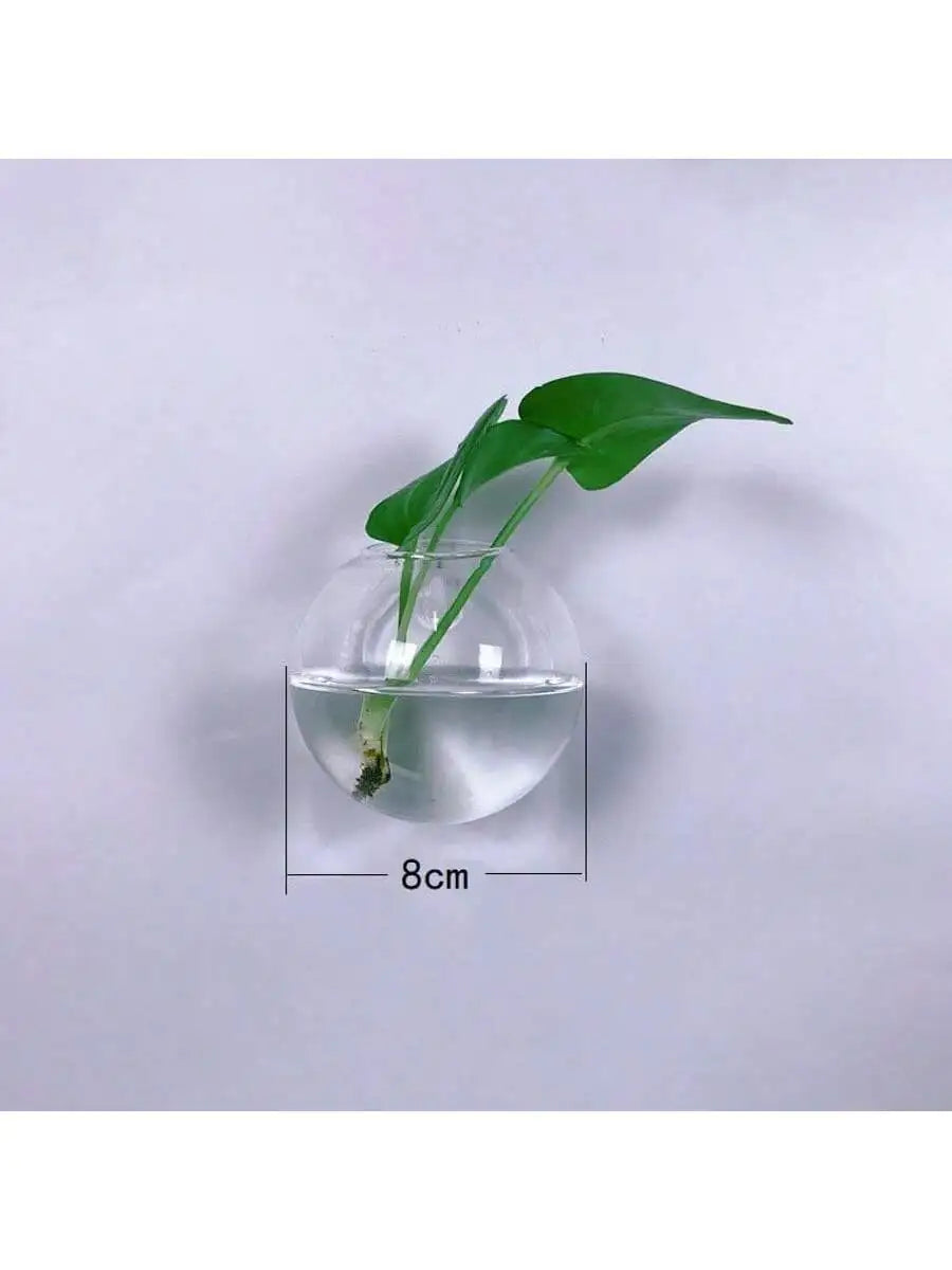 Wall Hanging Glass Plant Terrarium Container Propagation Station Wall-Mounted Flower Vases Air Plant Terrarium Home Office Decor