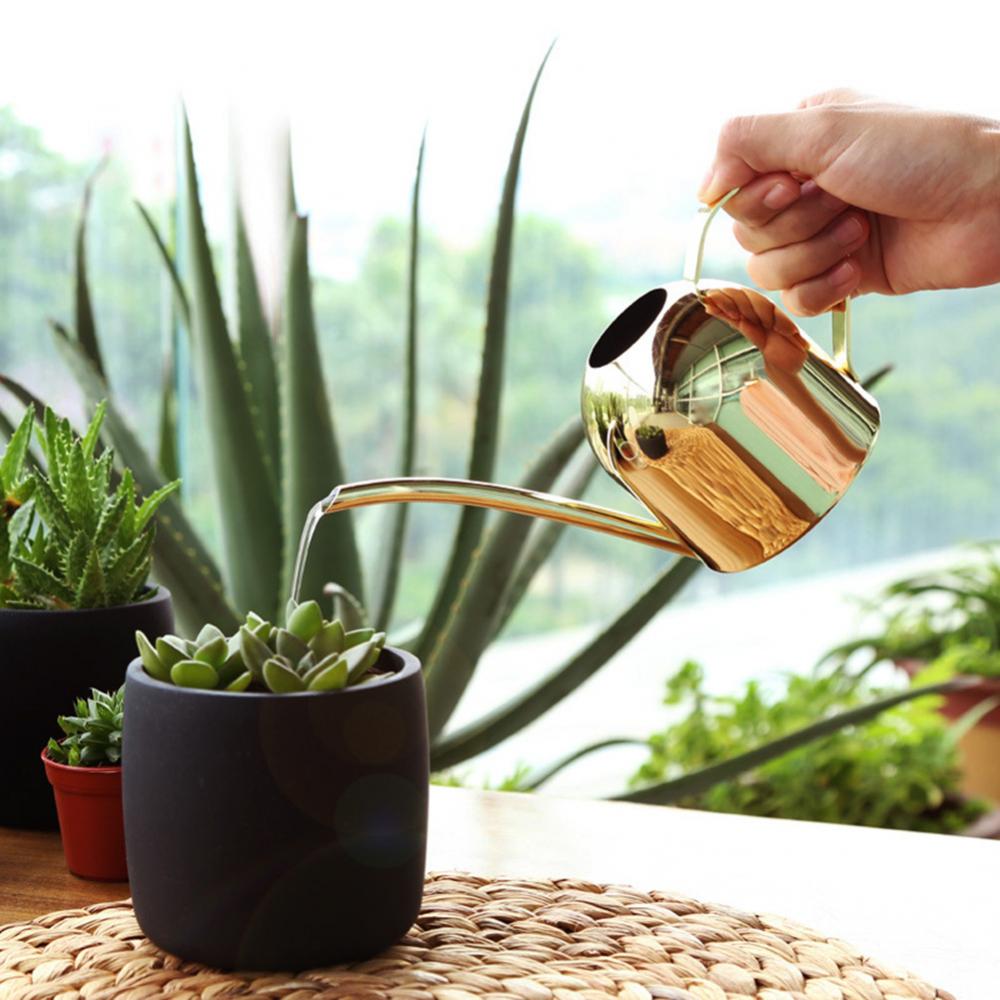 500ML Bonsai Plant Flower Watering Can Watering Pot Long Spout Garden Plant Flower Water Can Regadera Plantas Лейка Для Цветов