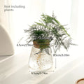 Hydroponic Flower Pot Stand1-2Personal Use Suitable for Office Green Plant Cutting Propagation Bottle Transparent Glass Containe